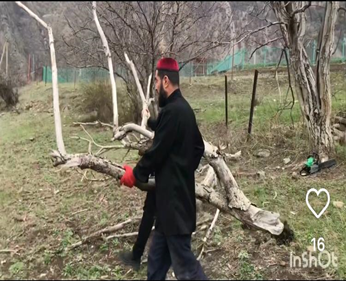 Всероссийский субботник.